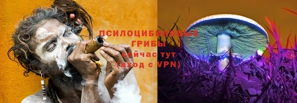 спиды Алзамай